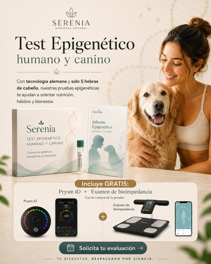 Epigenética