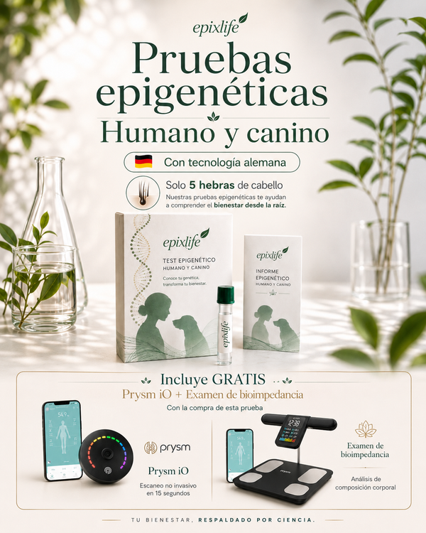 Test Epigenético humano y canino